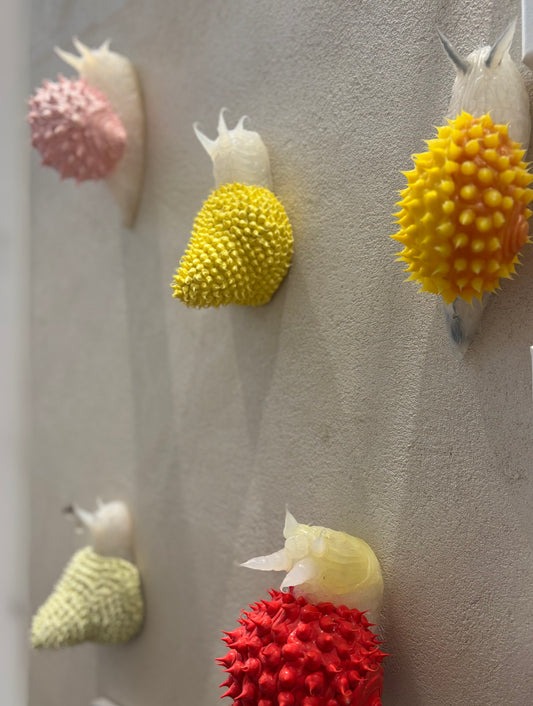 Lumachine in Viaggio