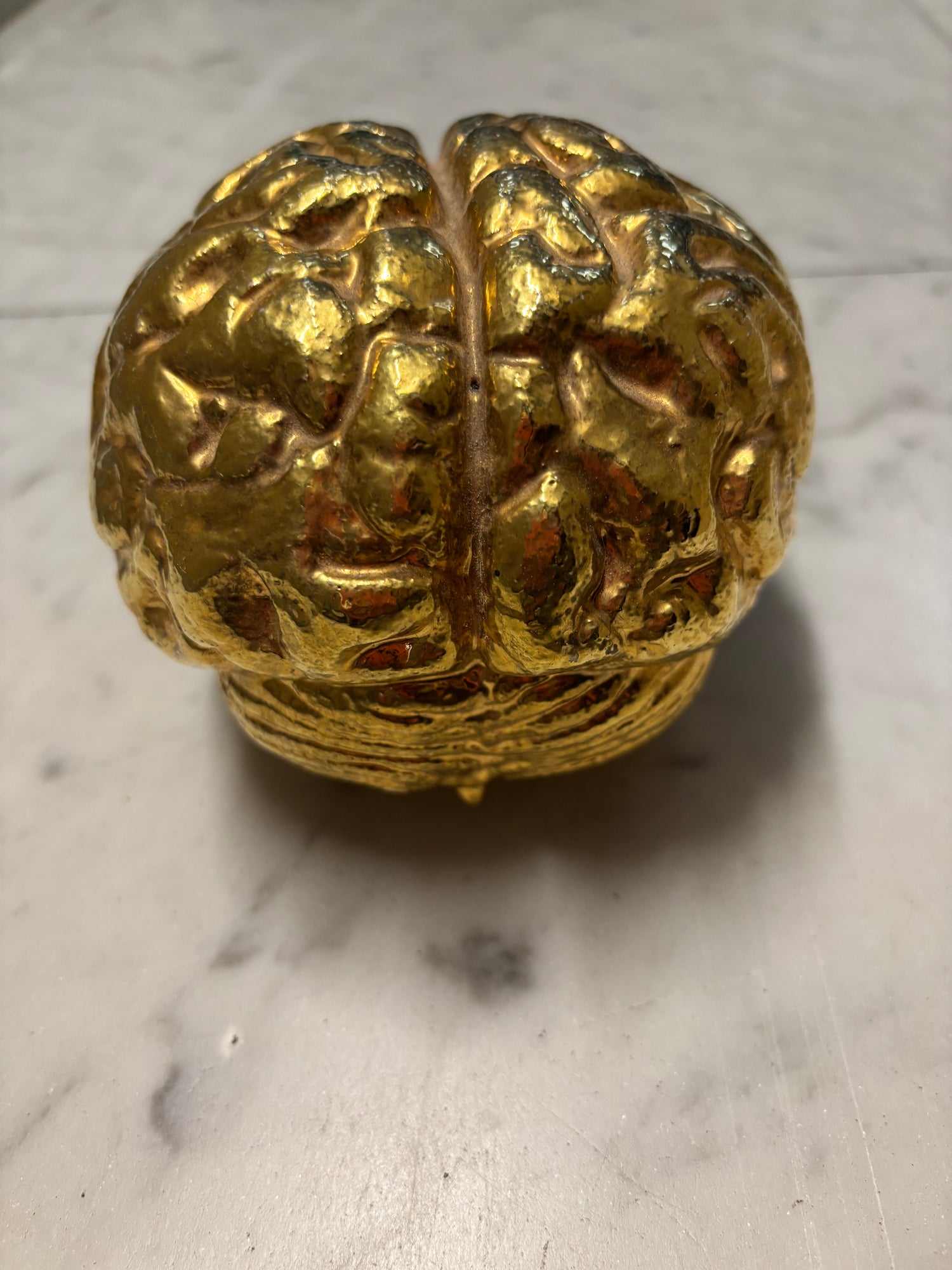 Il Cervello – Alberto Viola | Galleria Temide Savona