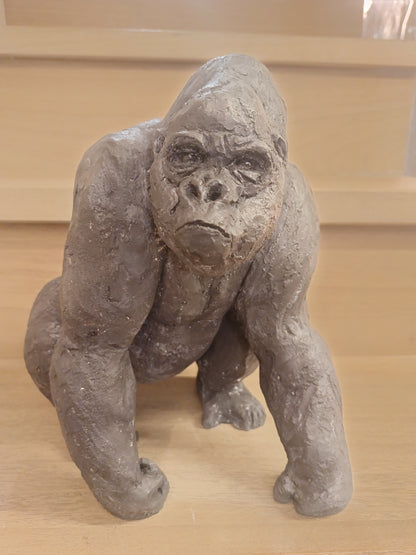 Animali — Il Gorilla