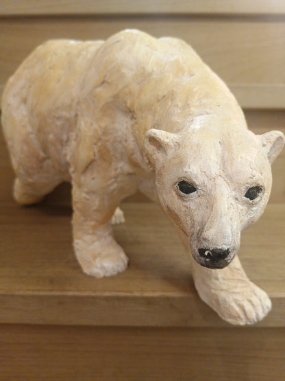 Animali — Orso Bianco
