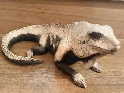 Animali — Iguana