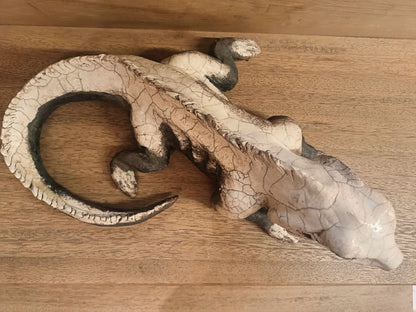 Animali — Iguana