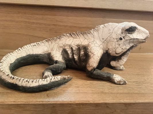 "Animali" Iguana