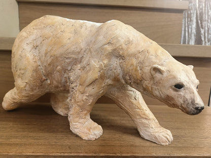 Animali — Orso Bianco